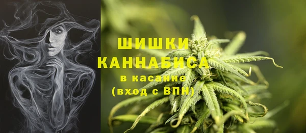 ПСИЛОЦИБИНОВЫЕ ГРИБЫ Балахна