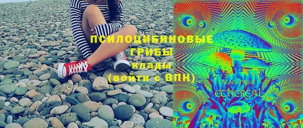 ECSTASY Белокуриха