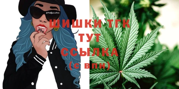 ECSTASY Белокуриха