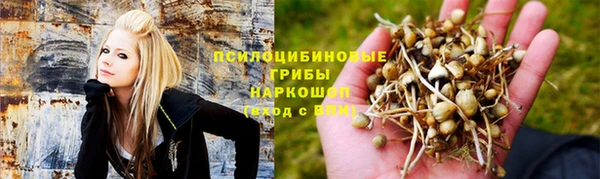 ПСИЛОЦИБИНОВЫЕ ГРИБЫ Балахна