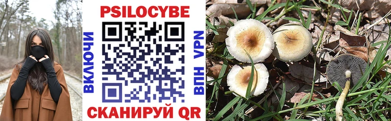 хочу наркоту  Щёкино  Псилоцибиновые грибы Psilocybe 