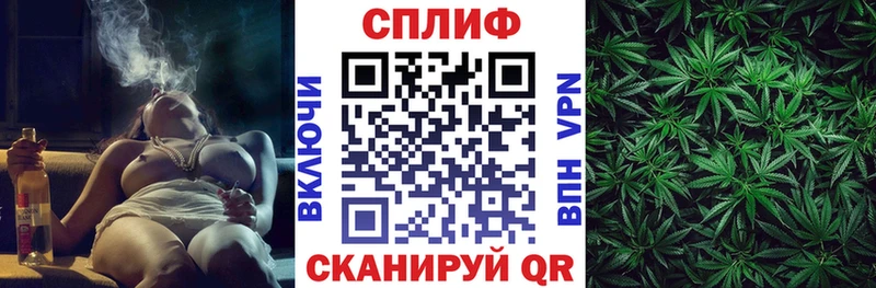 где купить наркотик  Щёкино  Бошки марихуана AK-47 